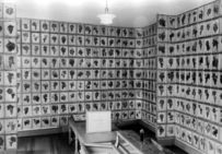 Cabinet d’ampélographie de l’entreprise Vermorel à Villefranche-sur-Saône, début XXe siècle.