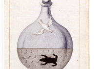 Représentation alchimique de la fermentation dans un ouvrage intitulé Sapientia veterum philosophorum…, XVIIIe siècle, Arsenal Ms 974, folio 19.