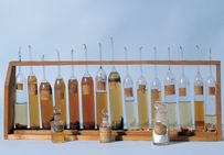 Échantillons de vins analysés par Louis Pasteur lors de ses études sur les maladies des vins.