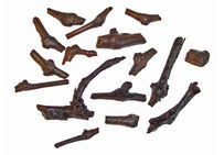 Fragments de sarments gorgés d'eau conservés dans un puits de Lattara en usage entre 75 et 125 de notre ère.
