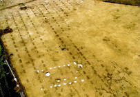 Vue aérienne rapprochée des alignements de fosses mis au jour sur le site Au-Dessus-de-Bergis à Gevrey-Chambertin.