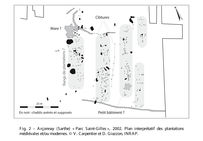 Plan interprétatif des plantations médiévales et/ou modernes reconnues en  2002 au lieu-dit « Parc Saint-Gilles » à Arçonnay (Sarthe).