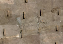 Échantillon de fosses deplantations fouillées à Negabous en 2008.