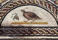 Perdrix picorant une grappe de raisin, dernier quart du IIe siècle de notre ère, détail de la Mosaïque des cratères et oiseaux, Vienne.  Musée gallo-romain de Saint-Romain-en Gal, Vienne.