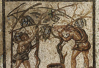 Vendange sur un arbre vivant, détail de la mosaïque du calendrier agricole, provenant de Saint-Romain-en Gal (Rhône), début du IIIe siècle de notre ère. Musée d'archéologie nationale, Saint-Germain-en-Laye.