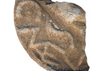 Bouchon d'amphore vinaire en pouzzolane, portant le nom de C(aius) MAEV(iu)s, propriétaire du vignoble, fin du IIe siècle av. notre ère.