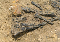 Sarments de vigne dans un bûcher du Mas de Vignoles à Nîmes.