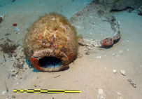 Amphore de l'épave du Giraglia, bateau romain qui transportait du vin en vrac dans des dolia, découverte en 2008 au large du Cap Corse, Ier-IIe siècle de notre ère.