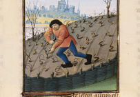 La taille de la vigne avec les armes de Jean du Mas, seigneur de l'Isle-Adam, conseiller et chambellan de Louis XI, dans le Livre des propriétés des choses, de Barthélémy l'Anglais, 1480, Fr 9140, folio 185v.Bibliothèque nationale de France, Paris.