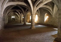Cellier du château de Germolles (Saône-et-Loire), XIIIe siècle, déjà en place dans la maison forte acquise par Philippe le Hardi en 1380 par confiscation auprès des seigneurs de Germolles.