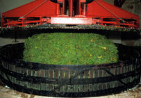 Vendanges en Champagne : pressoir traditionnel, le gâteau. On appelle ainsi l'amas formé par les résidus du pressurage.