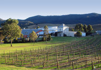 Vignobles Lindemans, vallée de la Hunter (Australie).