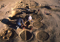 Vue générale du cellier nord (cellier 1 sur plan) du Petit Clos en cours de fouille en 1993.