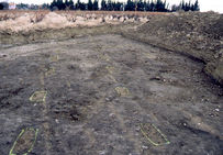 Sur le site d'Orle-Ouest, l'orientation des fosses de plantation caractérisant la vigne d'époque médiévale est légèrement différente de la vigne actuelle.