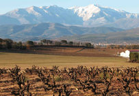 Environnement du site de Manresa à Canohès