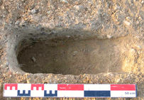 Détail d'une fosse de plantation vidée dans la plantation 2, au lieu-ditAl Ciurer de Banyuls-dels-Aspres.