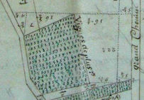 Les vignes des Nivelles représentées sur un mesurage figuré de 1742.
