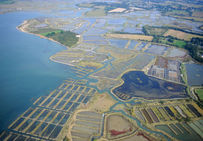 2-maraissalants2008361.jpg