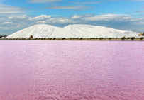Salins d'Aigues-Mortes, vue des camelles.
